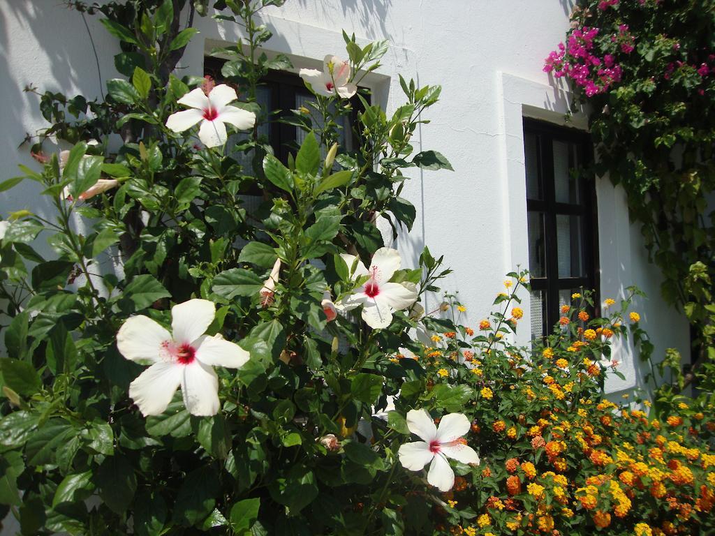 Mimosa Apart Hotel Gumbet ภายนอก รูปภาพ